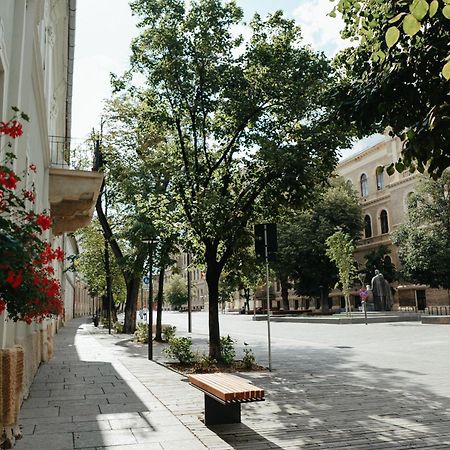 Contessa Apartment Cluj Napoca Dış mekan fotoğraf