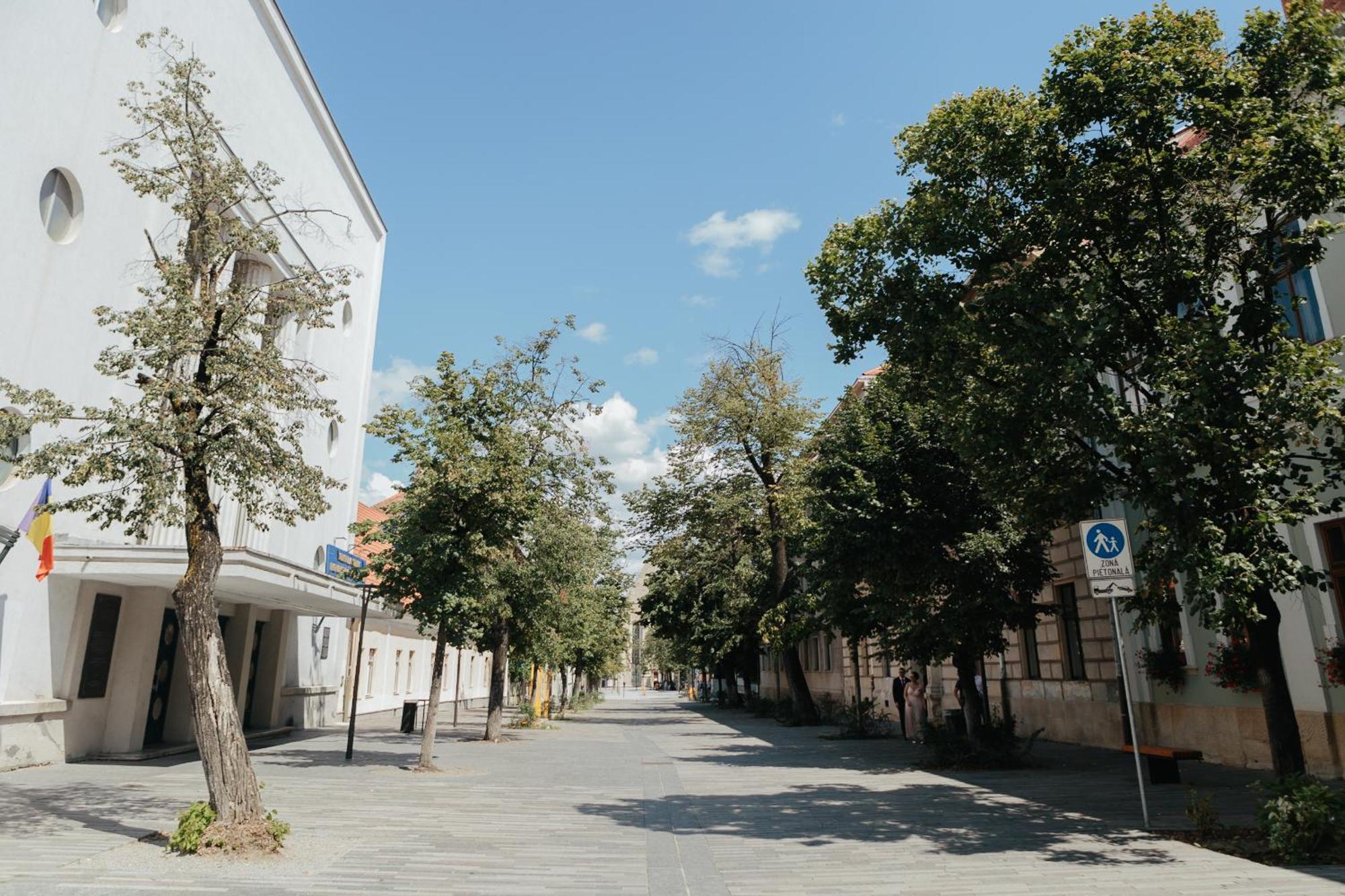 Contessa Apartment Cluj Napoca Dış mekan fotoğraf