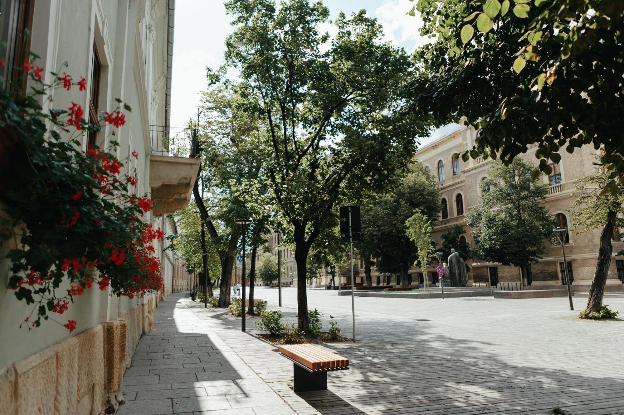 Contessa Apartment Cluj Napoca Dış mekan fotoğraf
