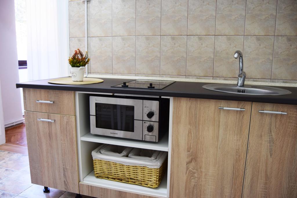 Contessa Apartment Cluj Napoca Dış mekan fotoğraf