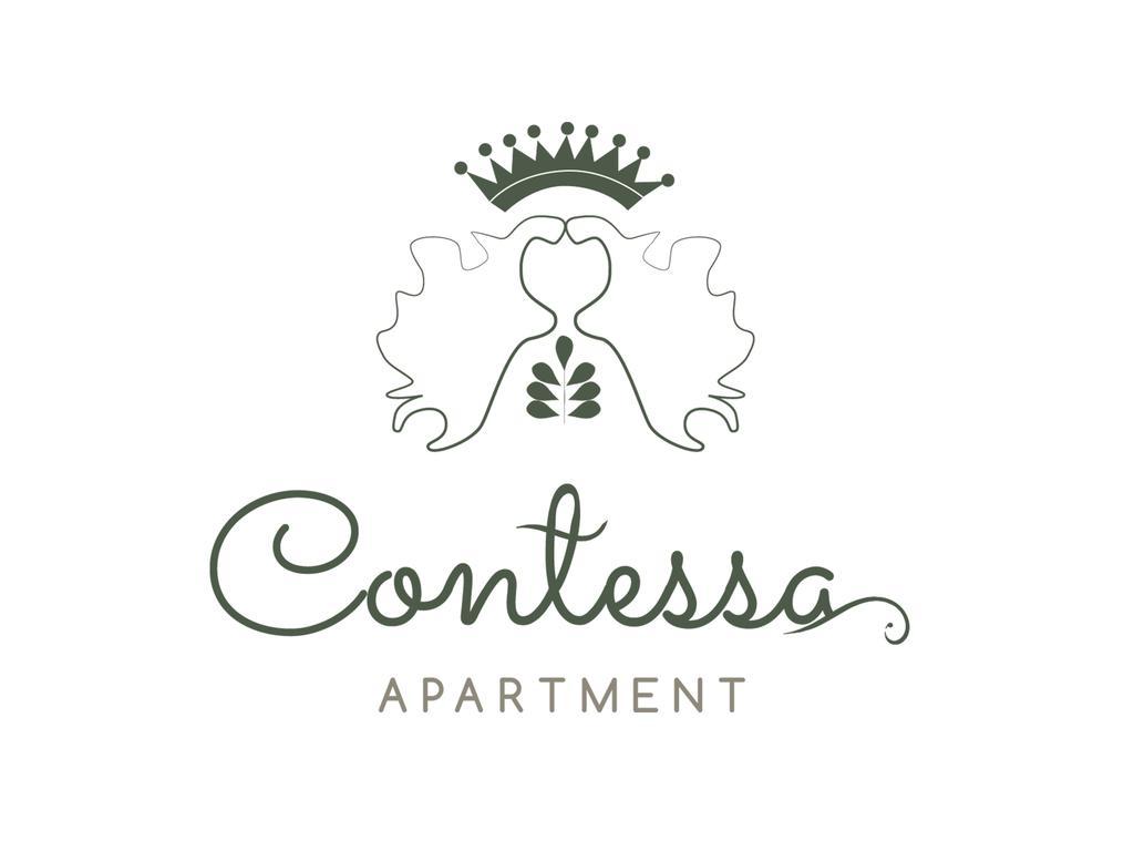 Contessa Apartment Cluj Napoca Dış mekan fotoğraf